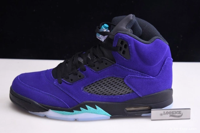 5 Jordan Retro Alternate 136027-500 Grape Air 0728